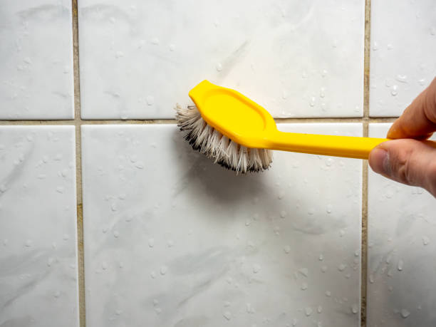 Best Mold Damage Repair  in Prairie Ridge, WA