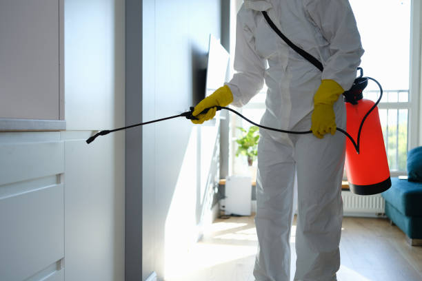 Best Mold Removal Specialists  in Prairie Ridge, WA