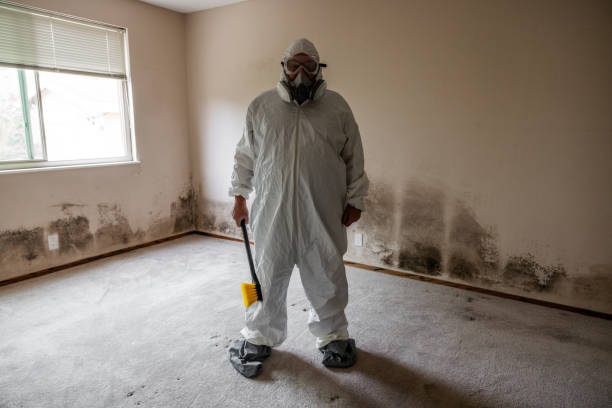 Professional Mold Removal in Prairie Ridge, WA